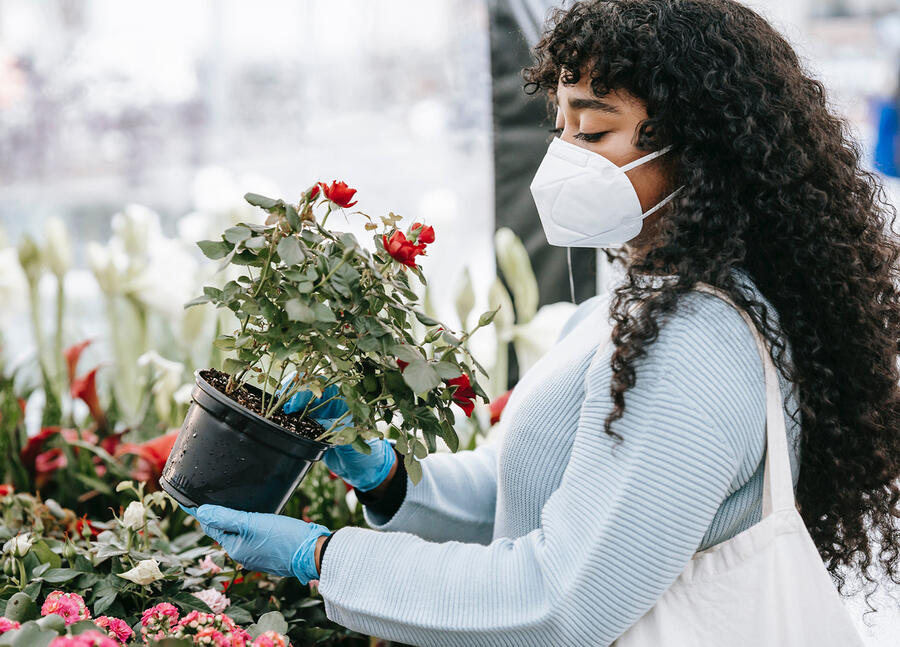 a Black woman wearing a blue shirt and respirator is going plant shopping, and holds a potted miniature rose bush